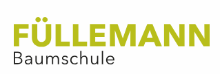 FUELLEMANN Logo | ANG
