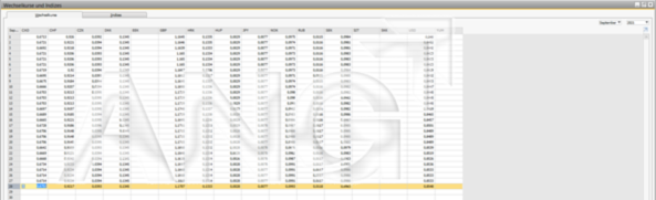 ANG Basis Addon Waehrungsimport | ANG