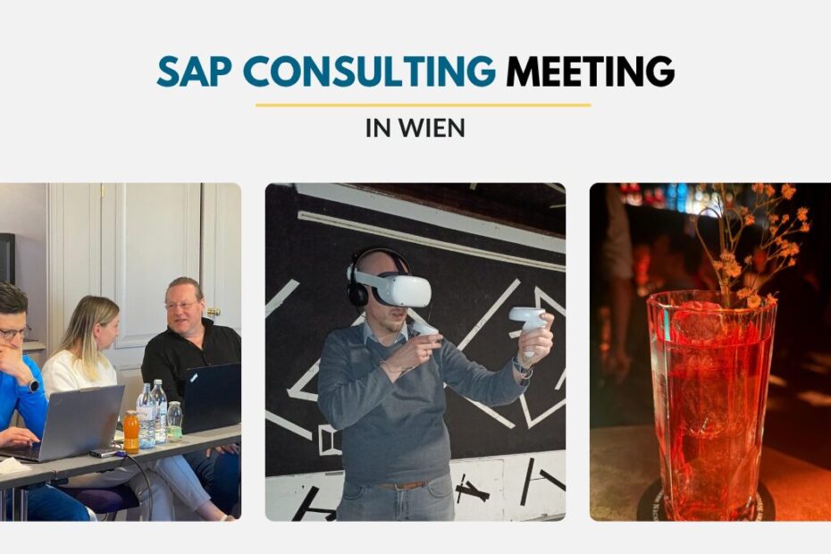 SAP Consulting Meeting Wien 2026 | ANG