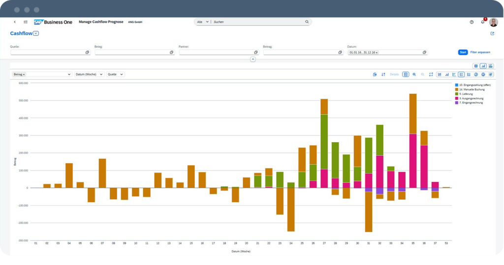 SAP Webclient Cashflow in SAP Business One | ANG