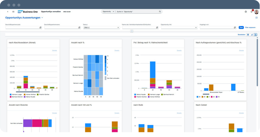SAP Webclient Opportunities in SAP Business One | ANG
